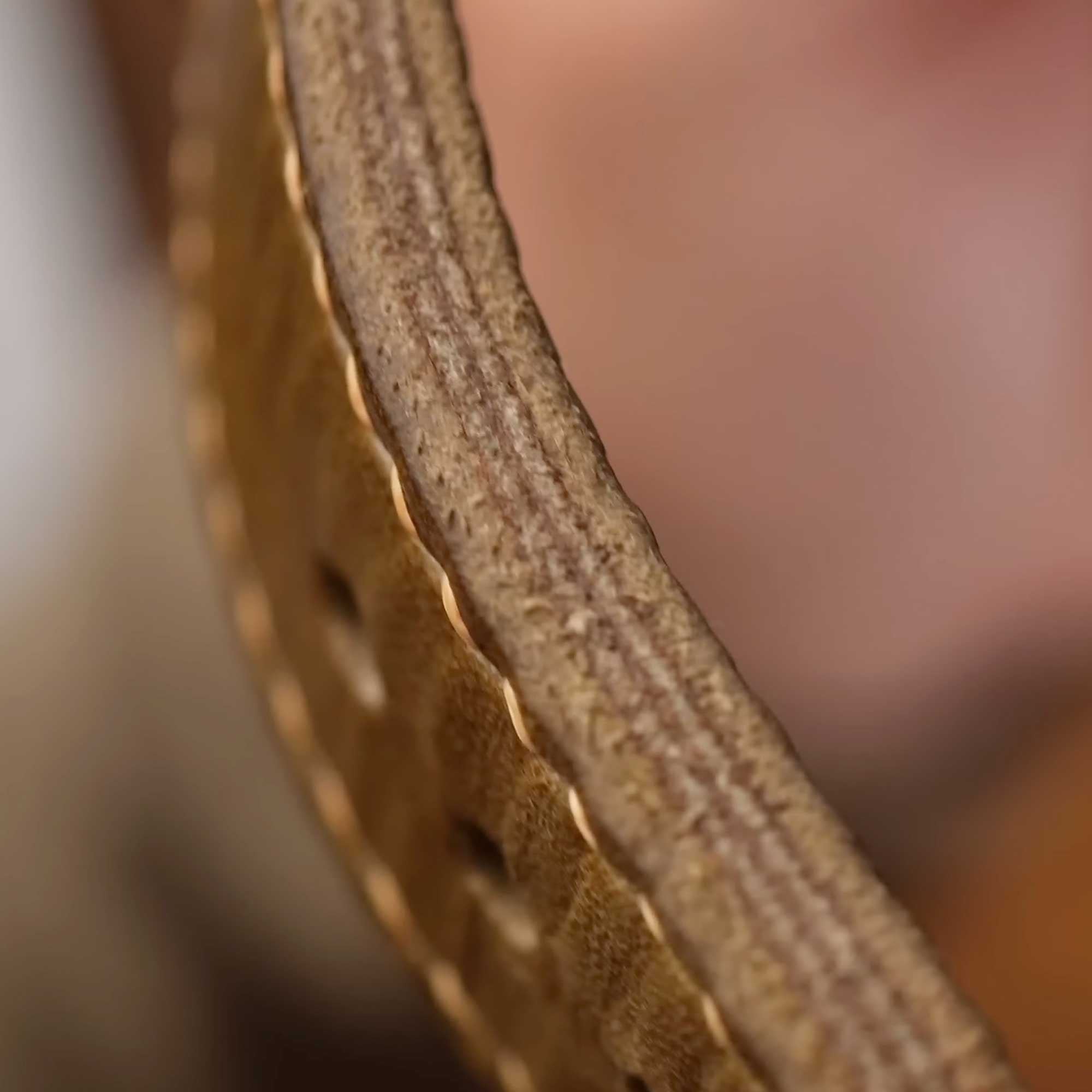 Vintage VDB D22 Pepsi GMT Bronze Fotouhr