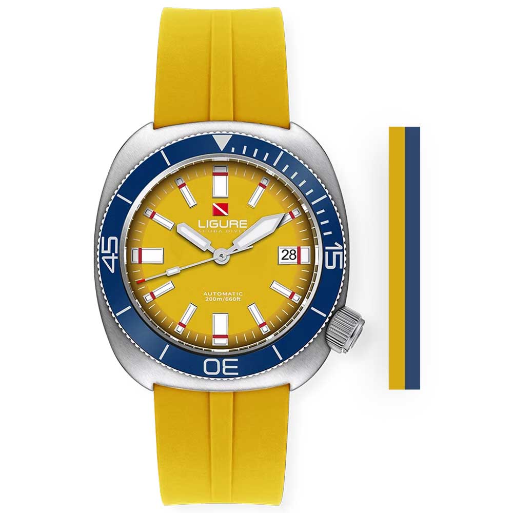 Ligure Prototipo P25-2