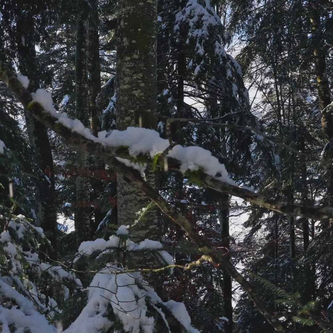 YEMA WRISTMASTER SLIM CMM.20 76.24.05.SN.M