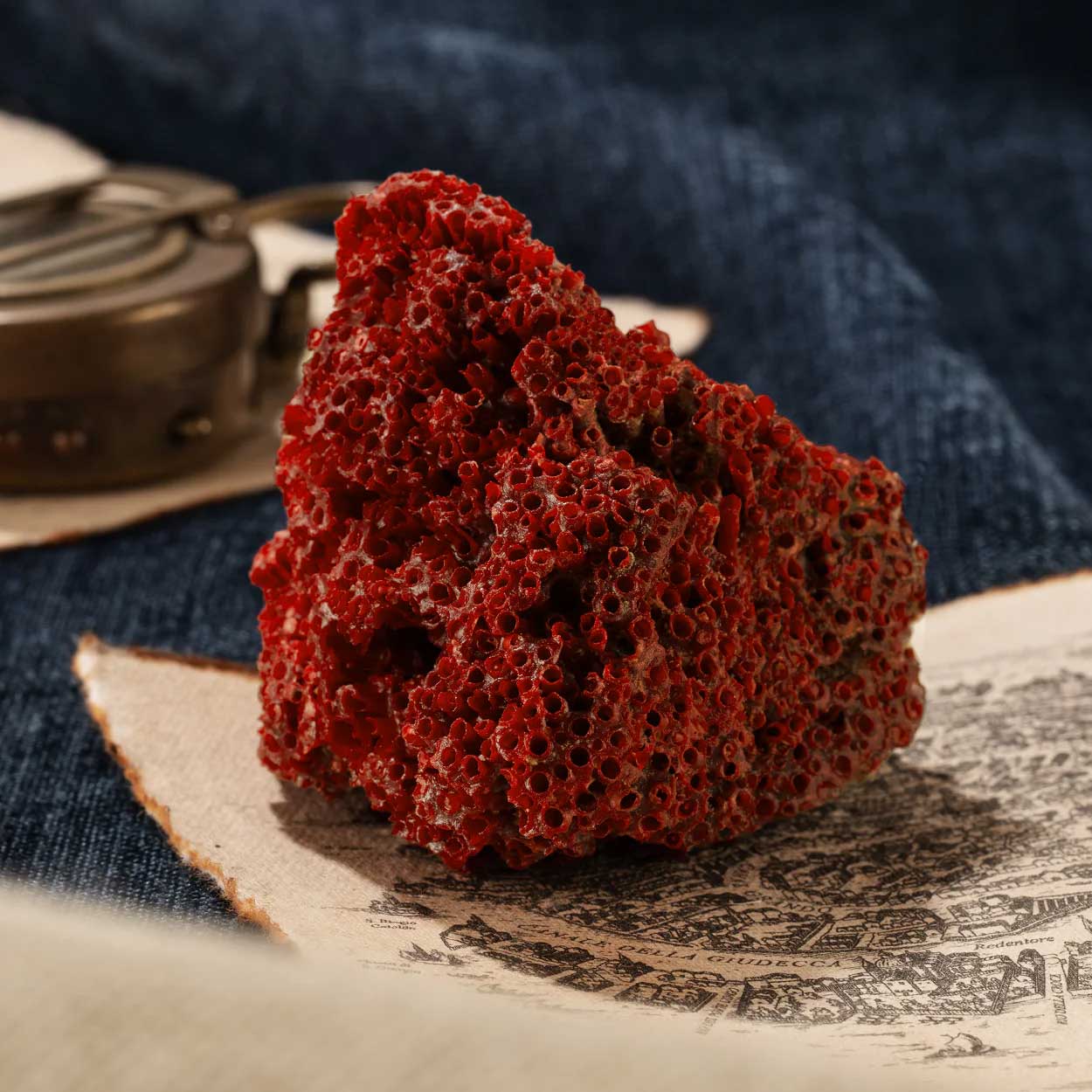 Venezianico Nereide Corallo - JETZT bestellen